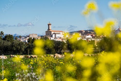 pueblo de Sant Jordi y sierra de tramuntana, Palma, Mallorca, balearic islands, spain, europe photo