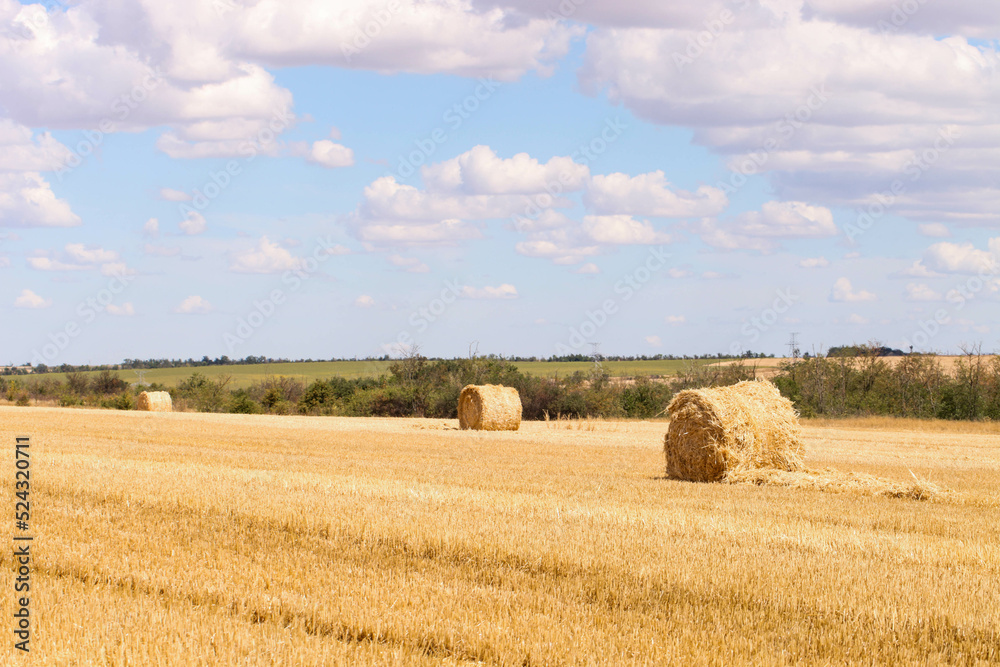 Haystack in field on summer day