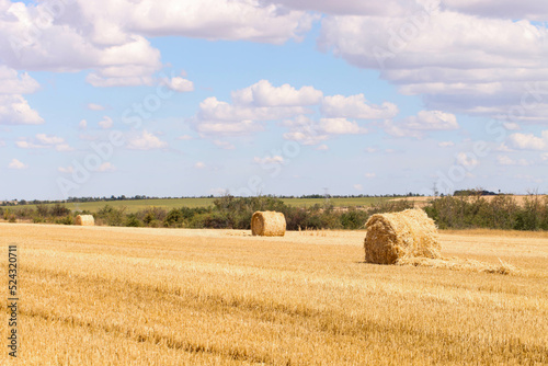 Haystack in field on summer day