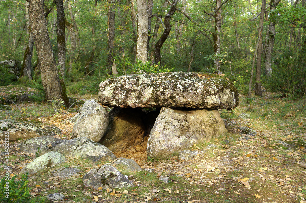 Dolmen de Cornudella.Bosque de Transás.Pirineo Aragones.Huesca.España. Dolmen de Cornudella.Bosque de Transás.Pirineo Aragones.Huesca.España.