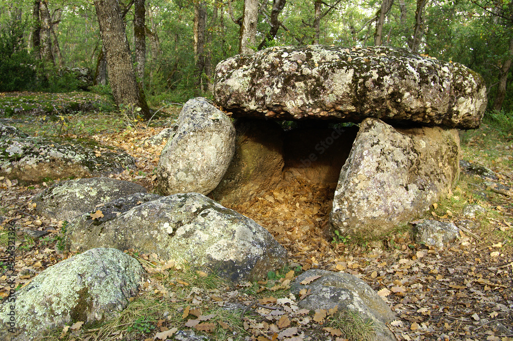Dolmen de Cornudella.Bosque de Transás.Pirineo Aragones.Huesca.España. Dolmen de Cornudella.Bosque de Transás.Pirineo Aragones.Huesca.España.