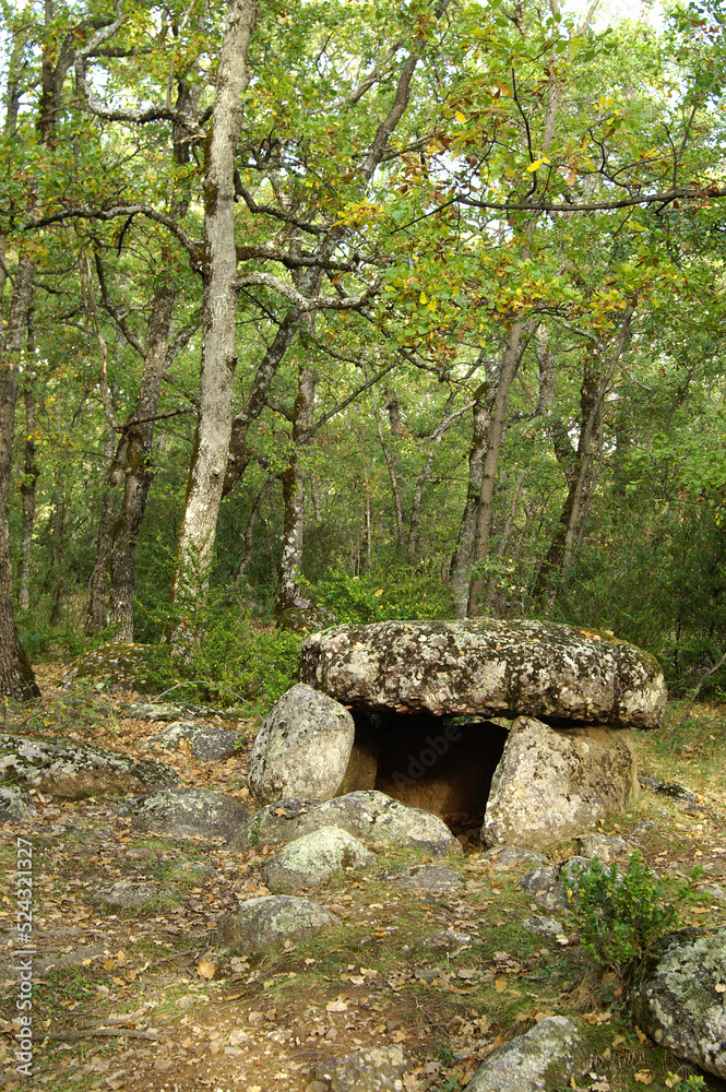 Dolmen de Cornudella.Bosque de Transás.Pirineo Aragones.Huesca.España. Dolmen de Cornudella.Bosque de Transás.Pirineo Aragones.Huesca.España.