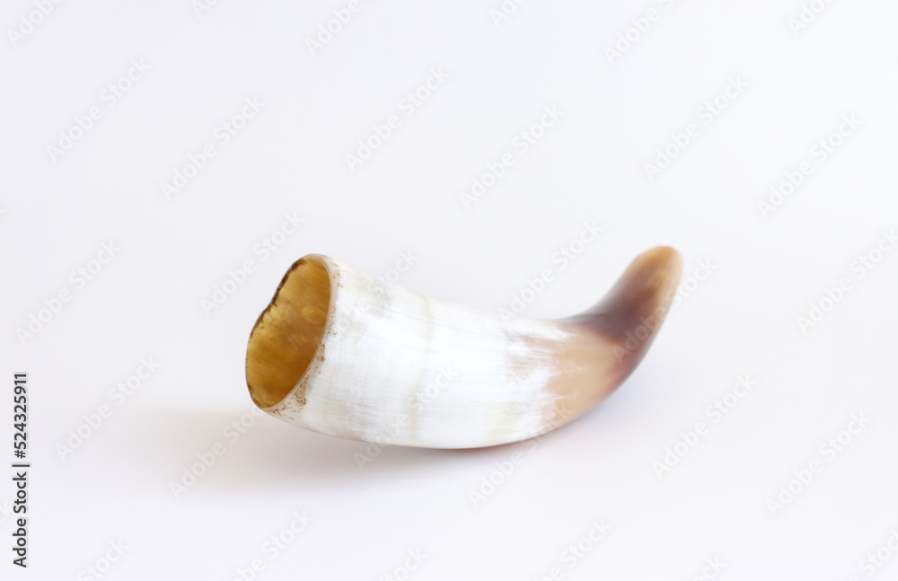 Fototapeta premium shofar (horn) isolated on white. rosh hashanah (jewish holiday) concept . traditional holiday symbol.
