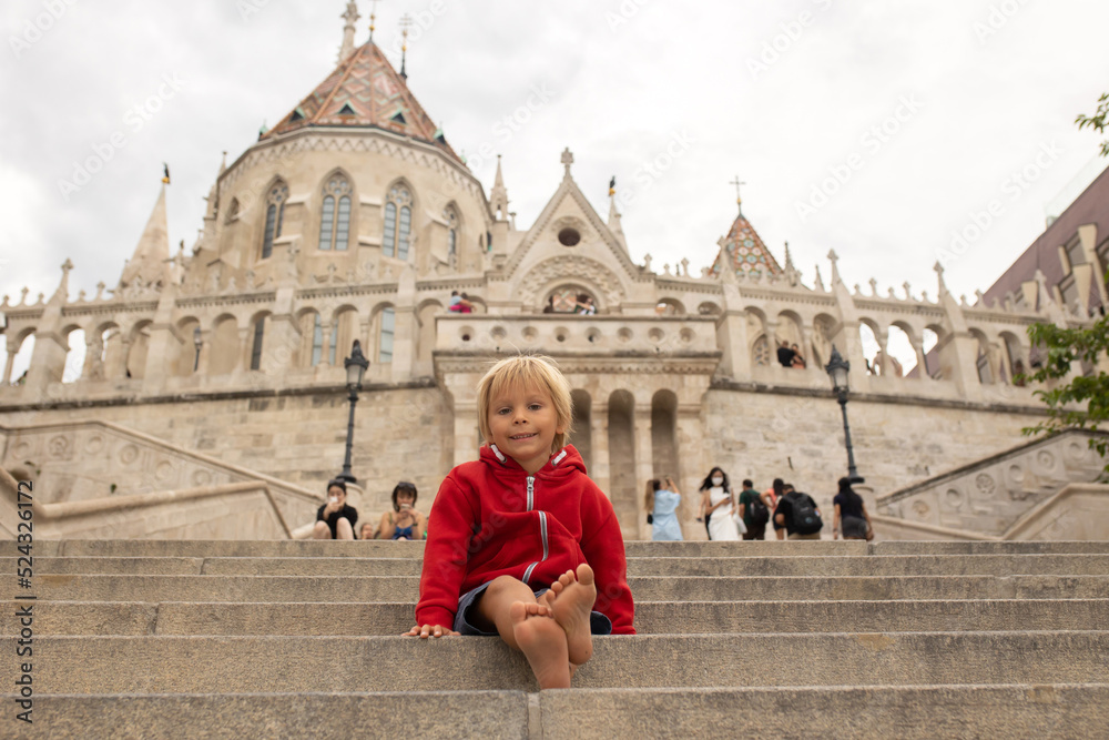 Child, boy, visiting the castle in Budapest on a summer day Child, boy, visiting the castle in Budapest on a summer day