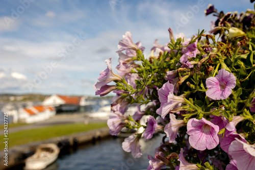 Beautiful town Kristiansand in Norway, amazing views photo