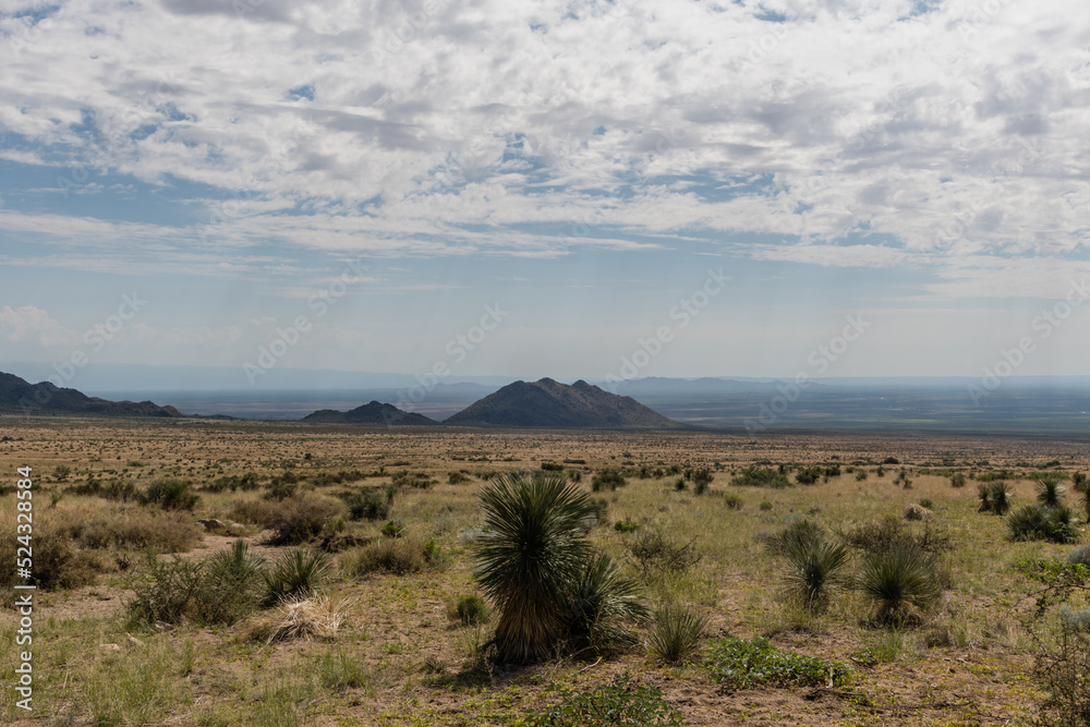 Scenic Organ Mountains-Desert Peaks National Monument vista in the summer, outside of Las Cruces, New Mexico Scenic Organ Mountains-Desert Peaks National Monument vista in the summer, outside of Las Cruces, New Mexico