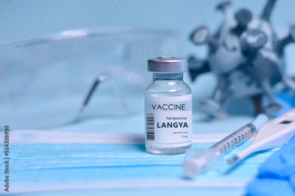 Langya henipavirus (LayV) vaccine, medical bottle, syringe , face mask, gloves, body thermometer, 3D model of virus and protective glasses. Langya 2022 virus. The concept of medicine, healthcare Langya henipavirus (LayV) vaccine, medical bottle, syringe , face mask, gloves, body thermometer, 3D model of virus and protective glasses. Langya 2022 virus. The concept of medicine, healthcare