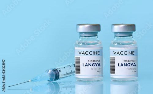 Two vials with vaccine Langya henipavirus (LayV) with a syringe on a blue background.The concept of medicine, healthcare. The virus is transmitted from animals to humans. Copy space for text.