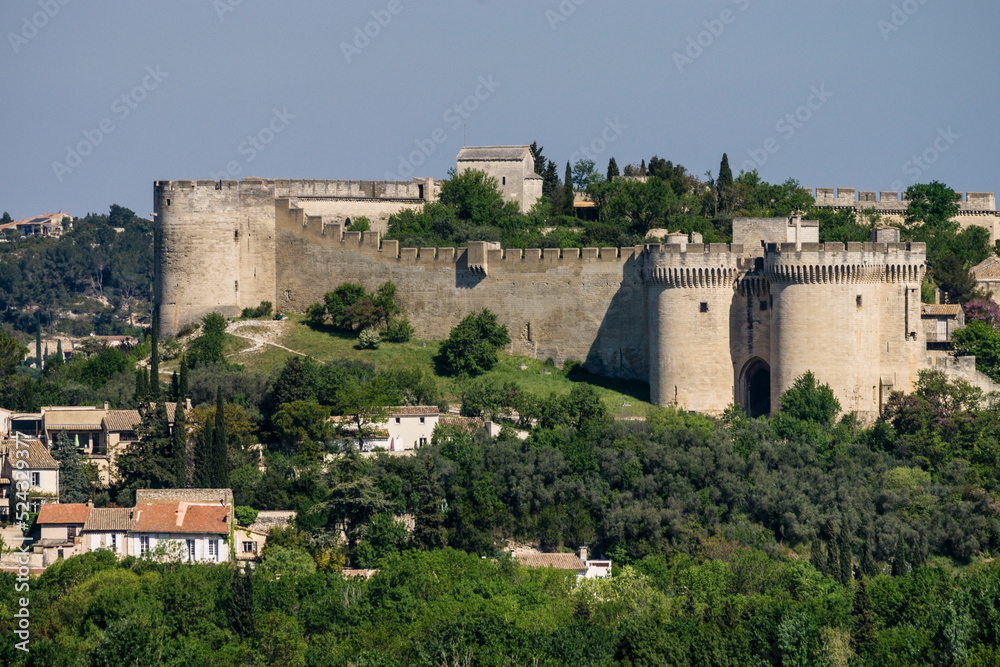 fuerte de Saint andre,siglo XIV,Avignon,Francia, Europa