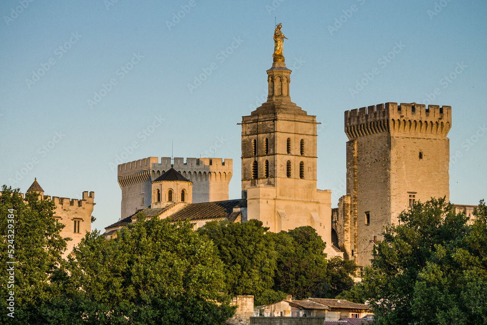 Palacio de los Papas, gotico medieval,Avignon,Francia, Europa