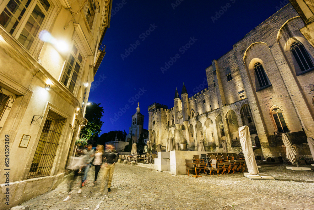 Fototapeta premium Palacio de los Papas, gotico medieval,Avignon,Francia, Europa