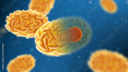 3d vector illustration with monkeypox virus. Concept of monkeypox virus cells. Mutated fever monkey. A new zoonotic virus from Poxviridae family are reported in Europe and USA. Vector illustration.