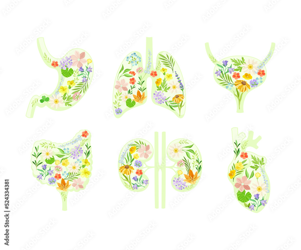 Healthy Human Internal Organs with Anatomical Lungs, Stomach, Kidneys, Bladder, Intestines and Heart with Blooming Flora Vector Set