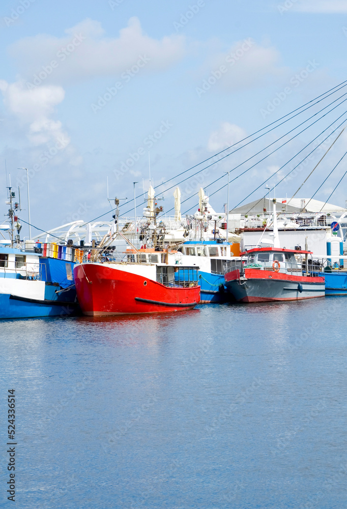 Colorful fishing boats in the port.