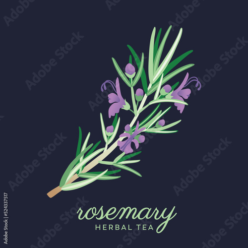 Rosemary tea herb with blossoms. Original, hand-drawn illustrations. Ideal for packaging, SPA, baby products, tea, healthcare, etc. Flower Rosemary, Rosemarinus. Summer herb.