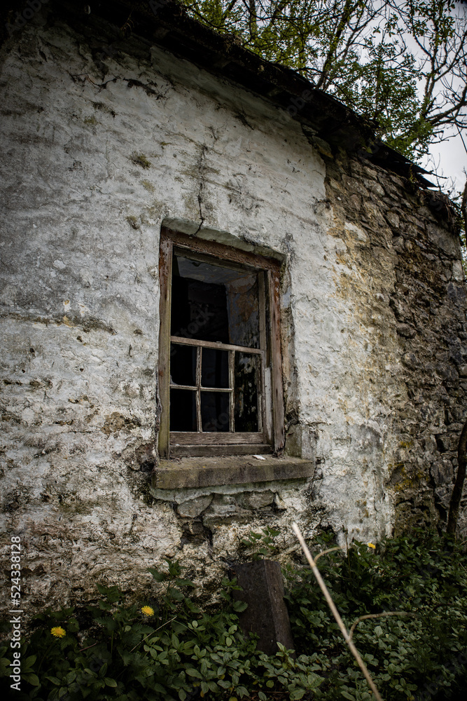 Abandoned / Haunted House