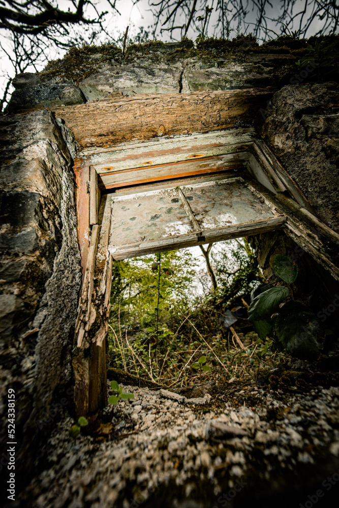 Abandoned / Haunted House
