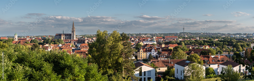 Blick auf Dom in Regensburg von Norden