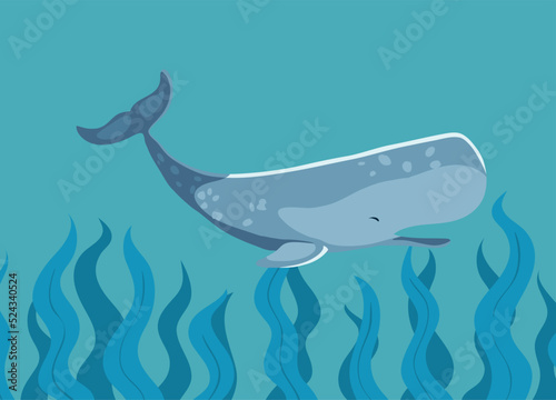 sperm whale ocean