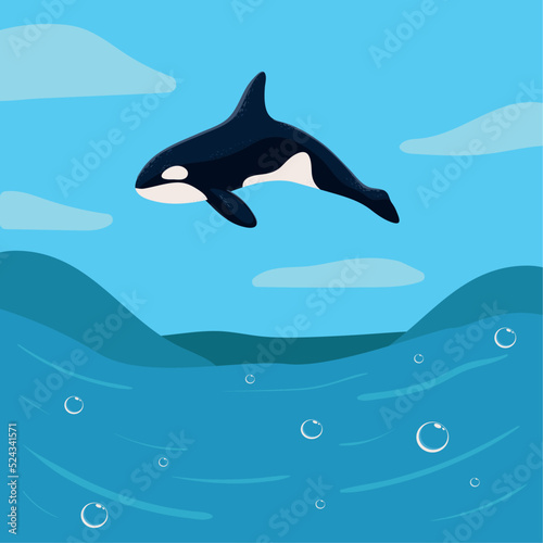 orca whale on ocean