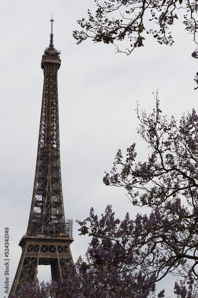 Eiffel Tower of Paris, France