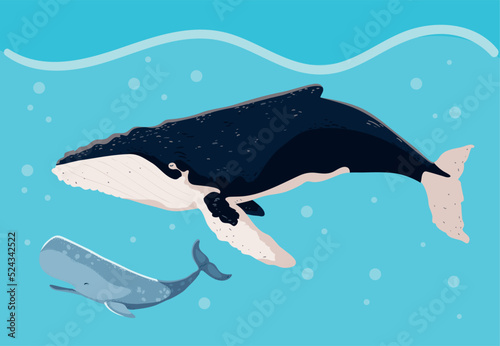 blue and humpback whales