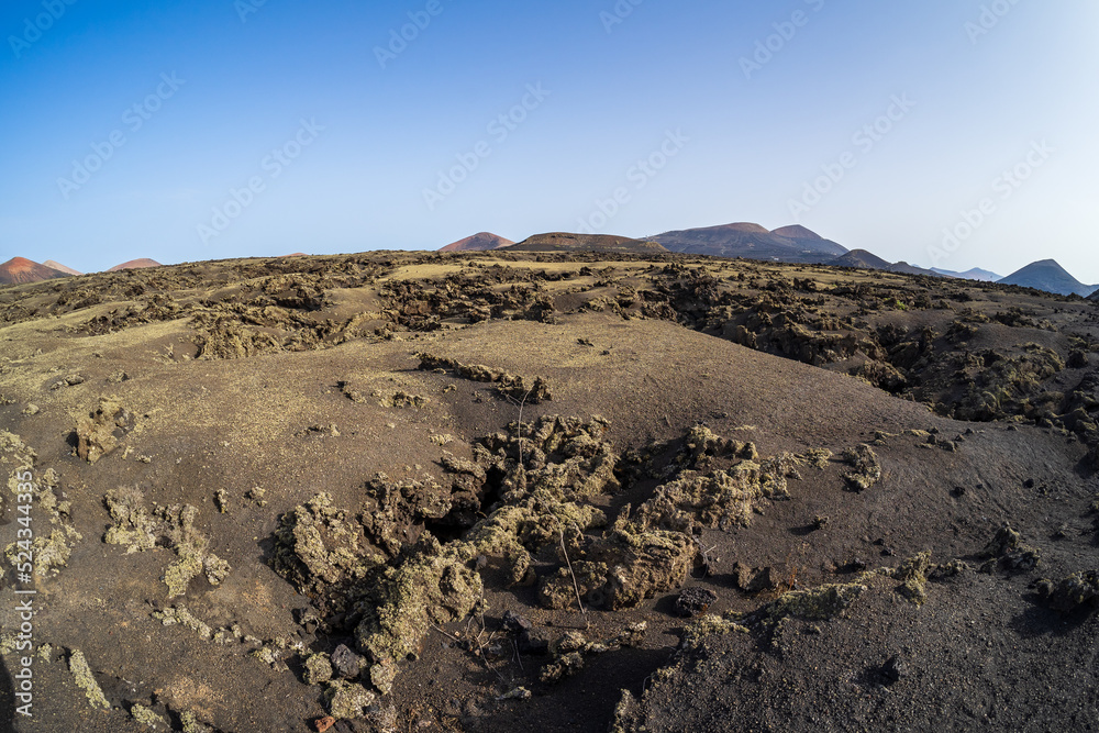 Typical volcanic landscape in the area of Caldera de Los Cuervos. Lanzarote, Canary Islands. Spain.