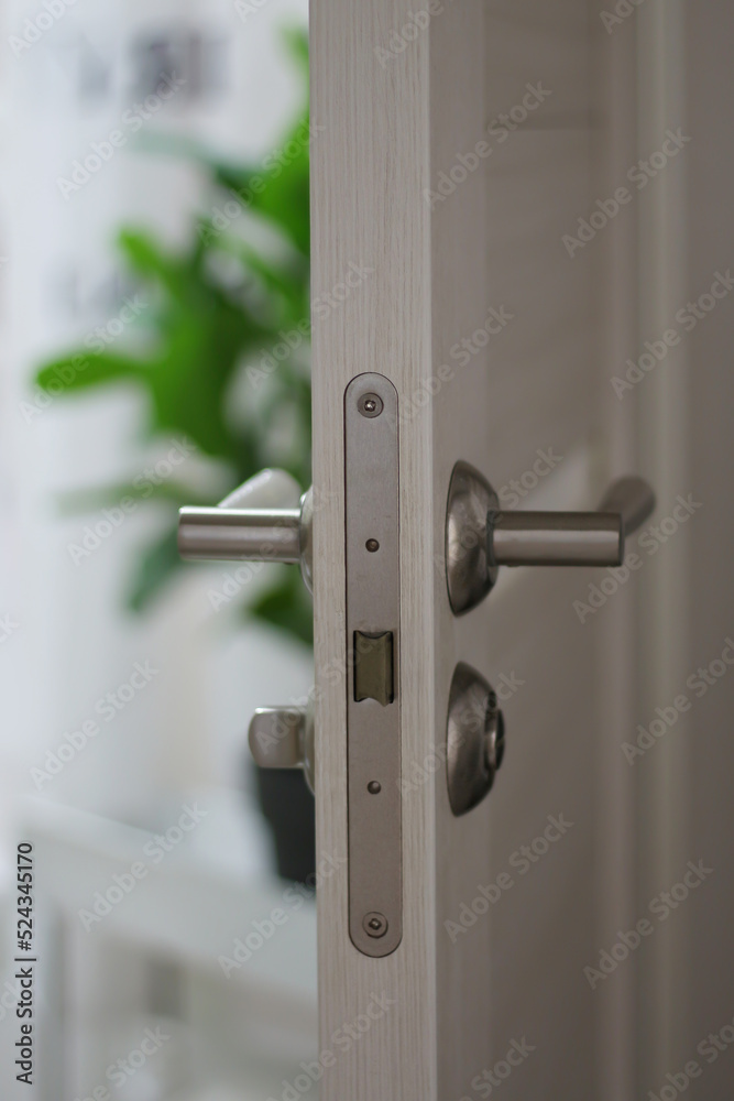 Light interior door with chrome handle. Vertical orientation of the photo. Light interior door with chrome handle. Vertical orientation of the photo.
