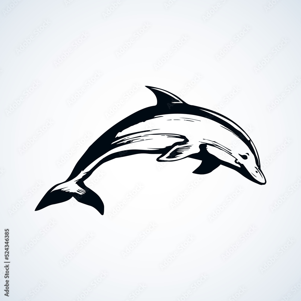 Obraz premium Dolphin. Vector drawing