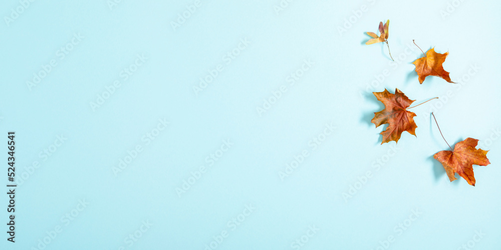 Autumn creative composition with leaves. Beautiful dried leaves on pastel blue background. Fall concept. Autumn background. Flat lay, top view, copy space Autumn creative composition with leaves. Beautiful dried leaves on pastel blue background. Fall concept. Autumn background. Flat lay, top view, copy space