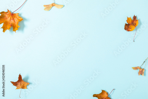 Autumn creative composition with leaves. Beautiful dried leaves on pastel blue background. Fall concept. Autumn background. Flat lay, top view, copy space