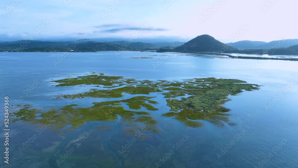 Aerial view of the Santoña, Victoria, Noja and Joyel Marshes. Santona. Cantabrian Sea, Cantabria, Spain, Europe