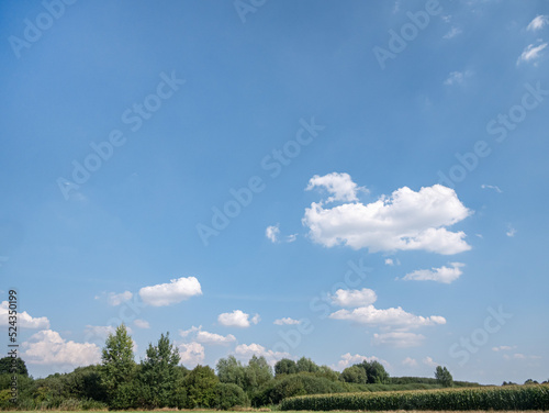 Pojedyncze chmury w krajobrazie wiejskim pośrodku samotnego pola, pora letnia Opolszczyzna, błękitne barwy