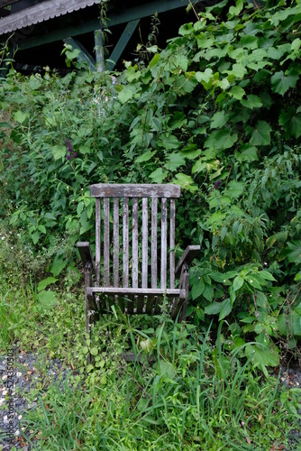 FU 2021-08-08 WanderHonLinz 187 Vor dem Gebüsch ist ein Stuhl