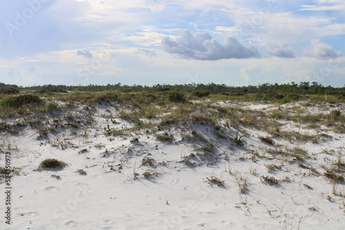 Landscape Around The Fort Pickens Fort in Pensacola Florida.  photo