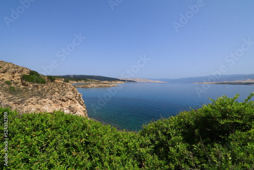 Green bushes grow on the rocky coast of the Adriatic Sea   © dominikspalek.pl