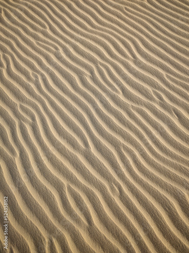 Fototapeta Naklejka Na Ścianę i Meble -  Beautiful view to white sand dune texture in Lençóis Maranhenses