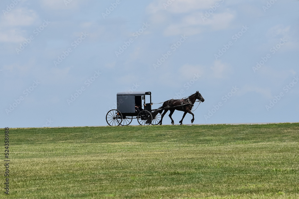 Amish buggy on the horizon