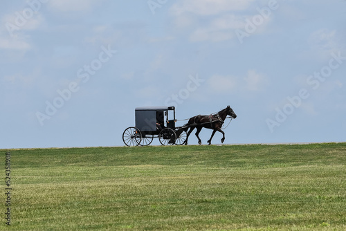 Amish buggy on the horizon photo