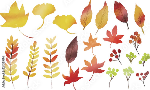 水彩画。水彩タッチの秋の木の実と葉っぱのベクターイラスト。Watercolor. Vector frame illustration of autumn berries and leaves with watercolor touch.