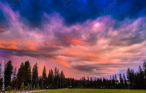 Forest Sunset