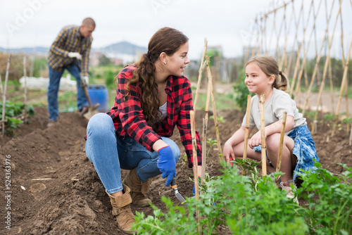 Positive child girl working with mother and father at allotment, concept of sustainable living