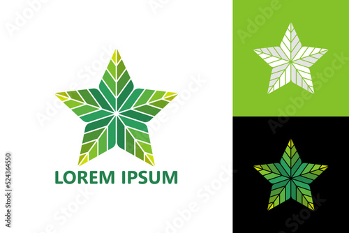 Star leaf logo template design vector