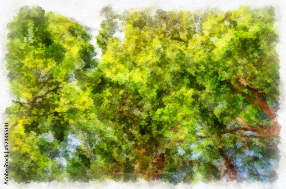 Tree branches and sky with clouds watercolor style illustration impressionist painting. Tree branches and sky with clouds watercolor style illustration impressionist painting.