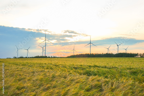 Wind energy.Wind generators in a wheat field.Ripe wheat and windmills.R Alternative energy sources.Environmentally friendly natural energy source. Natural renewable eco energy. © Yuliya