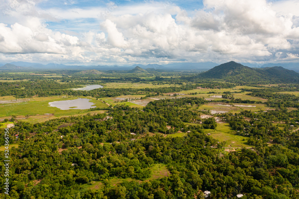 Aerial drone of rice fields and agricultural land in a valley among mountains. Sri Lanka.