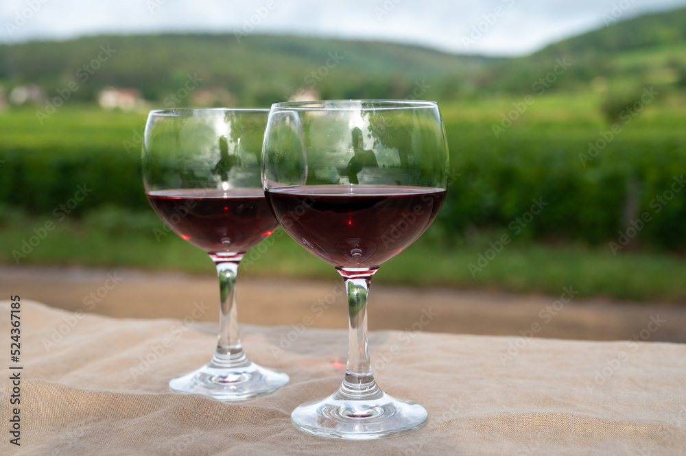 Tasting of red dry pinot noir wine in glass on premier and grand cru vineyards in Burgundy wine making region near Vosne-Romanée village, France
