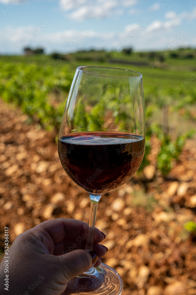 Glass of red dry wine and large pebbles galets and sandstone clay soils on vineyards in Châteauneuf-du-Pape ancient wine making village in France