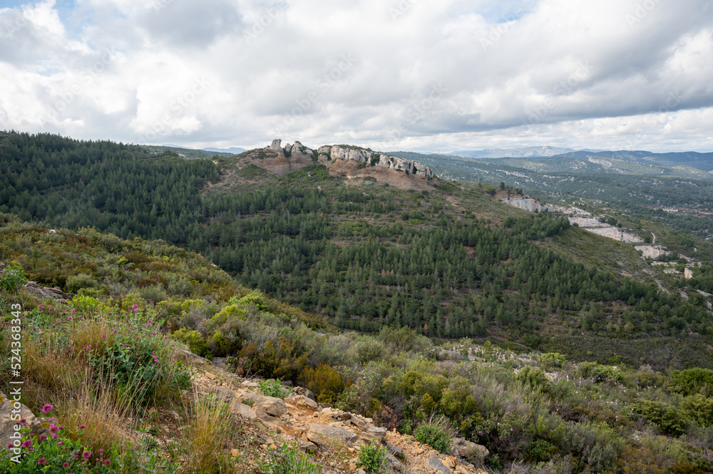 Naklejka premium Touristic route D141 road from La Ciotat to Cassis, panoramic view limestone's cliffs and green pine forest, vacation in Provence, France