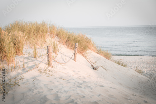 Fototapeta Naklejka Na Ścianę i Meble -  Sands on the Baltic Sea coast, entering to the beach. Slowinski National Park. Poland 
